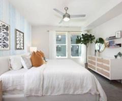 $500 Completely Private, Luxury Apartment in Heart